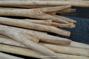 Rundholz für Holzpergola mit Vergabelung